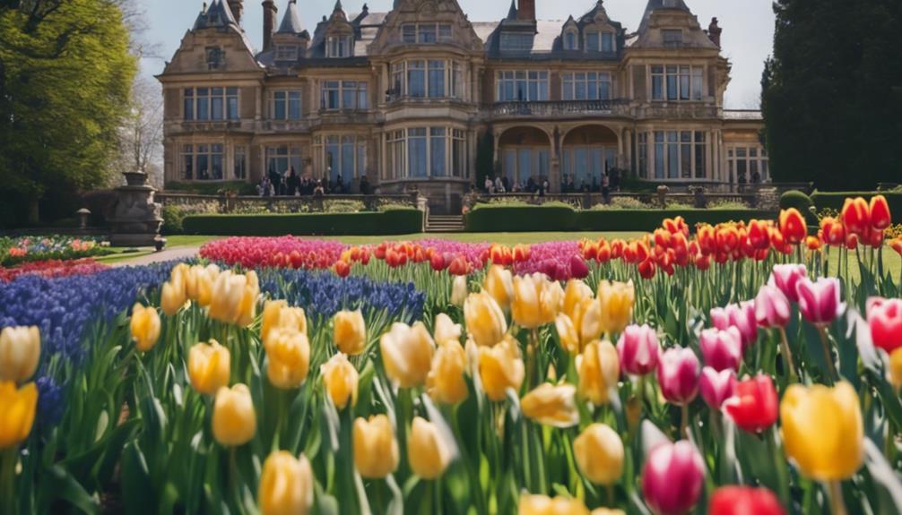 blooming bulbs at trentham