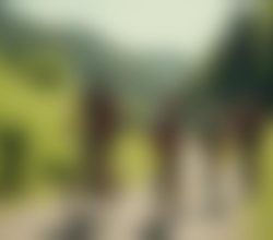 exciting outdoor activities in staffordshire