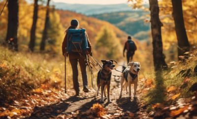 Top Pet-Friendly Hiking Trails in Shropshire Guide