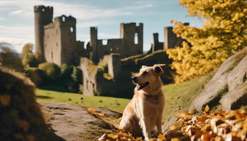 medieval fortress in england