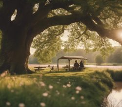 romantic shropshire honeymoon getaways