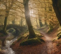 staffordshire s scenic walking trails