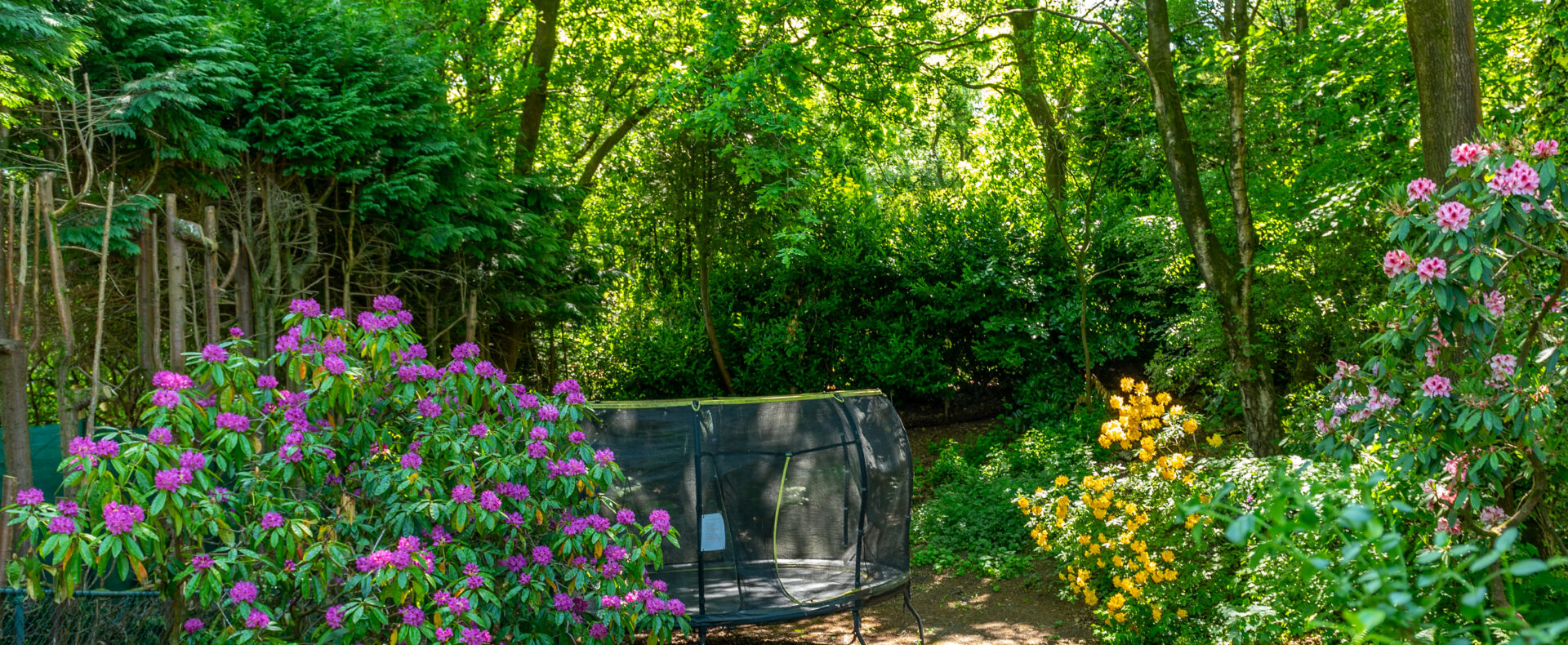 Garden and Trampoline