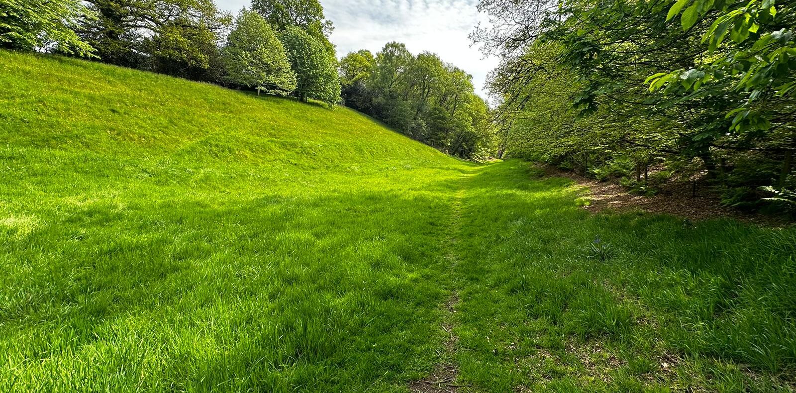 The Dale near Ashley